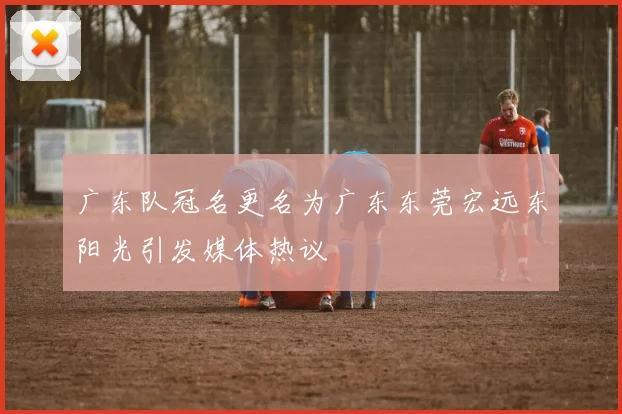 广东队冠名更名为广东东莞宏远东阳光引发媒体热议