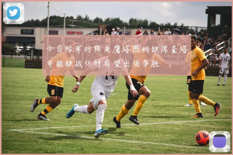 今日绿军对阵老鹰塔图姆缺席奎塔可能缺战怀特有望出场争胜